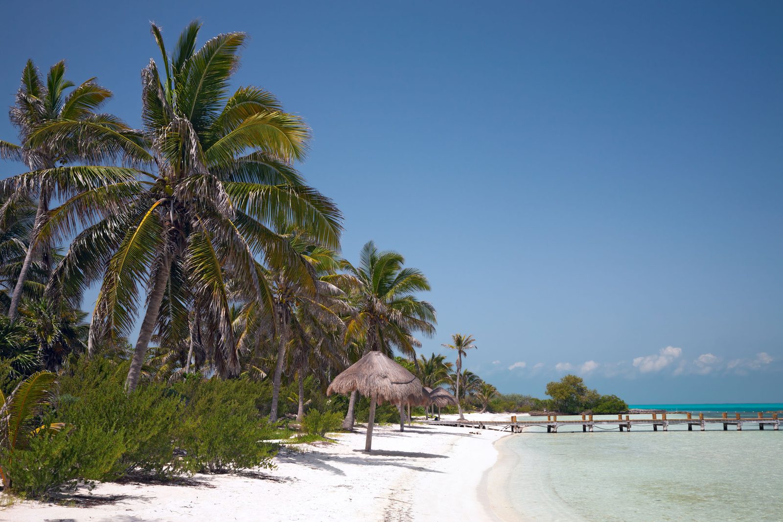 Palm trees and wooden pier on Isla Contoy
