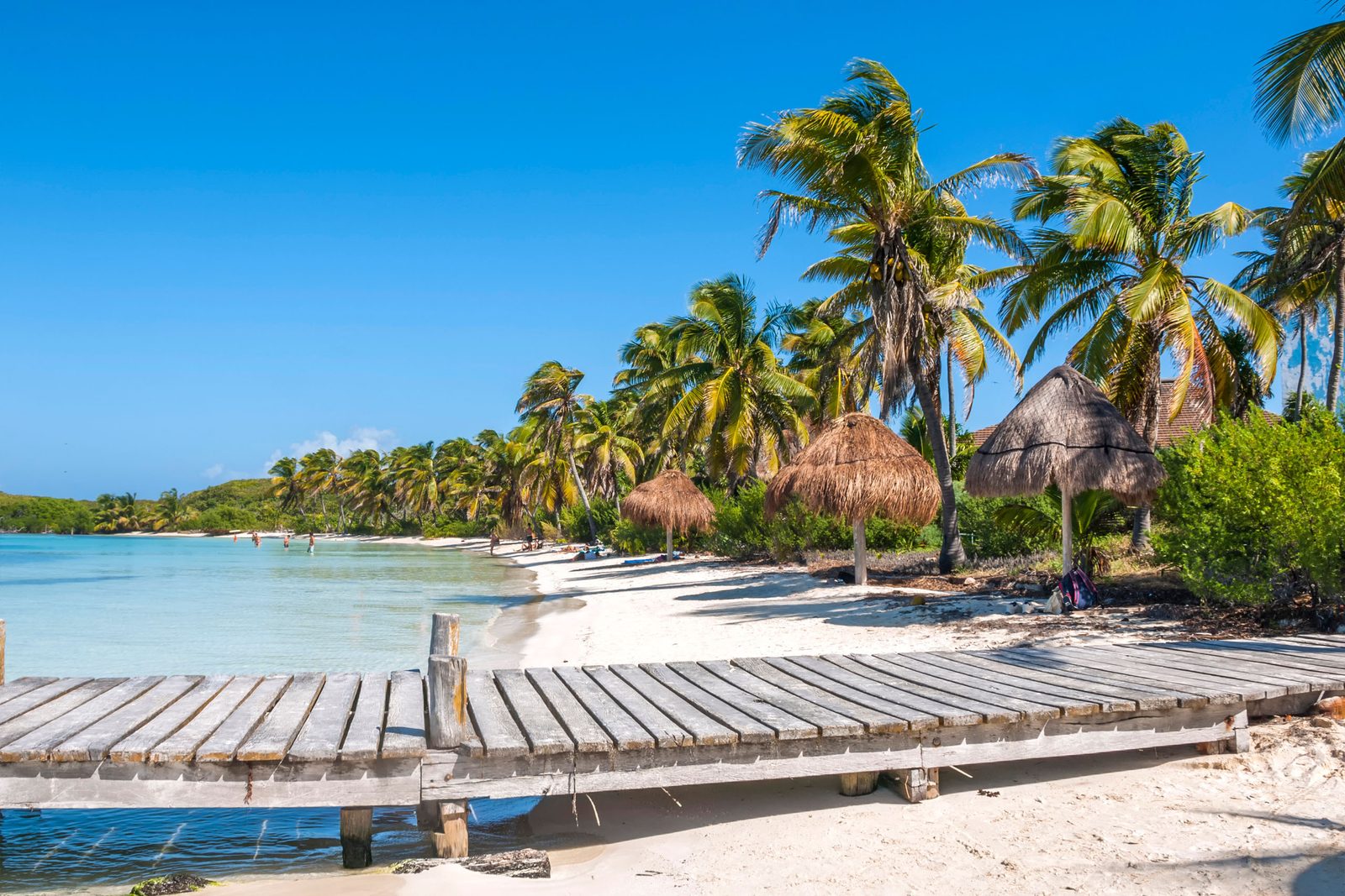 Wooden walkway to Isla Contoy beach